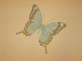 Бабочка 5